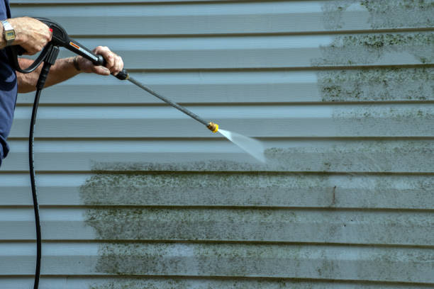 Best Roof Washing  in Brook Highland, AL